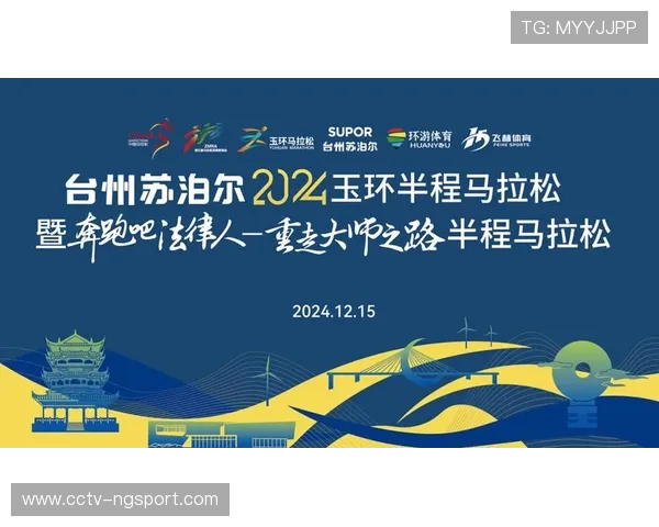 赞助体系逐步规范，实现品牌共赢